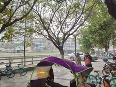 -平安桥张氏肥肠粉