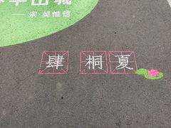 -泗洪洪泽湖湿地景区