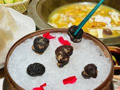 -芸山季·云南野生菌火锅(宝能环球汇店)