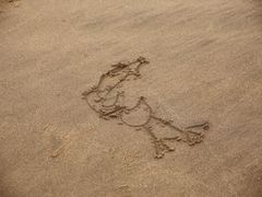 -普陀山风景名胜区-千步大沙