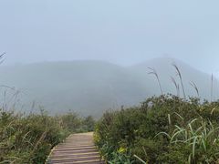 -大围山国家森林公园