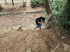 -青龙山国家森林公园