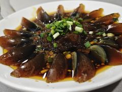 -洞庭家宴·头牌甲鱼(广渠门店)