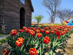 -泗洪洪泽湖湿地景区