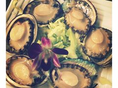 鲍鱼-金海阁海鲜火锅