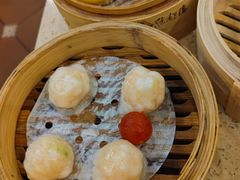 金牌虾饺皇-点都德(盘福楼店)
