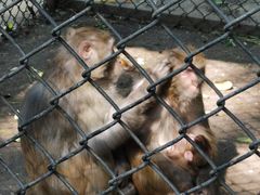 -长白岛森林公园