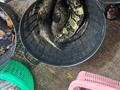 -拉威海鲜市场