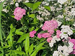 -长春公园(普阳街道)