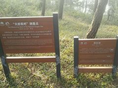 -沂蒙山旅游区云蒙景区(蒙山国家森林公园)