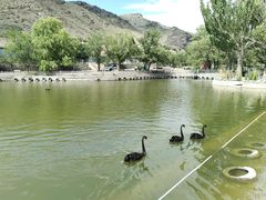 -新疆天山野生动物园