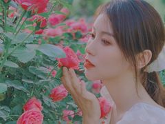 -合肥滨湖国家森林公园