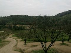 -南国桃园旅游度假区