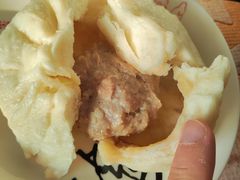 大肉包子-老上海大包(四川北路店)