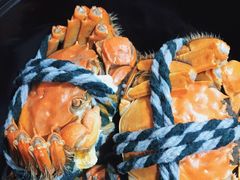 鲜活精品大闸蟹礼盒装-祥鹤龙虾螃蟹