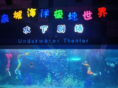 -泉城欧乐堡海洋极地世界