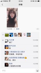 点击看大图 -金棕榈