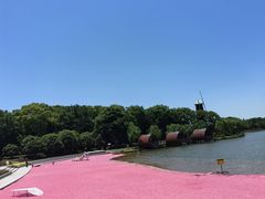 -上海鲜花港