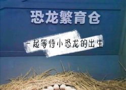 -恐龙探索乐园(磁器口店)