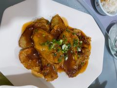 -老字号怡玺·藿香雅鱼(20年雅安店)