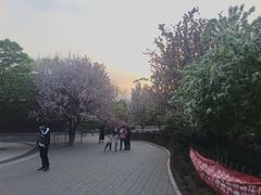 -丰台花园