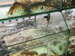 -凯华海鲜火锅·传承三十六年