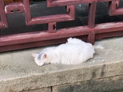 -无锡惠山寺