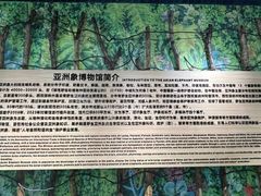 -野象谷景区