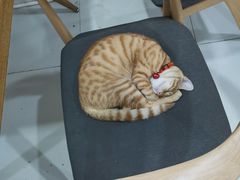 -无锡特色酸辣汤(现代广场店)