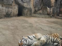 -南昌动物园