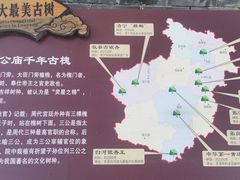 -洛阳周公庙博物馆