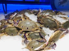 -加餐海鲜自助(宝龙一城店)