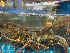 -新阿布海鲜大酒店