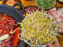 -阳阳老火锅(小南门店)