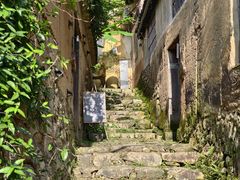 -杨家堂村