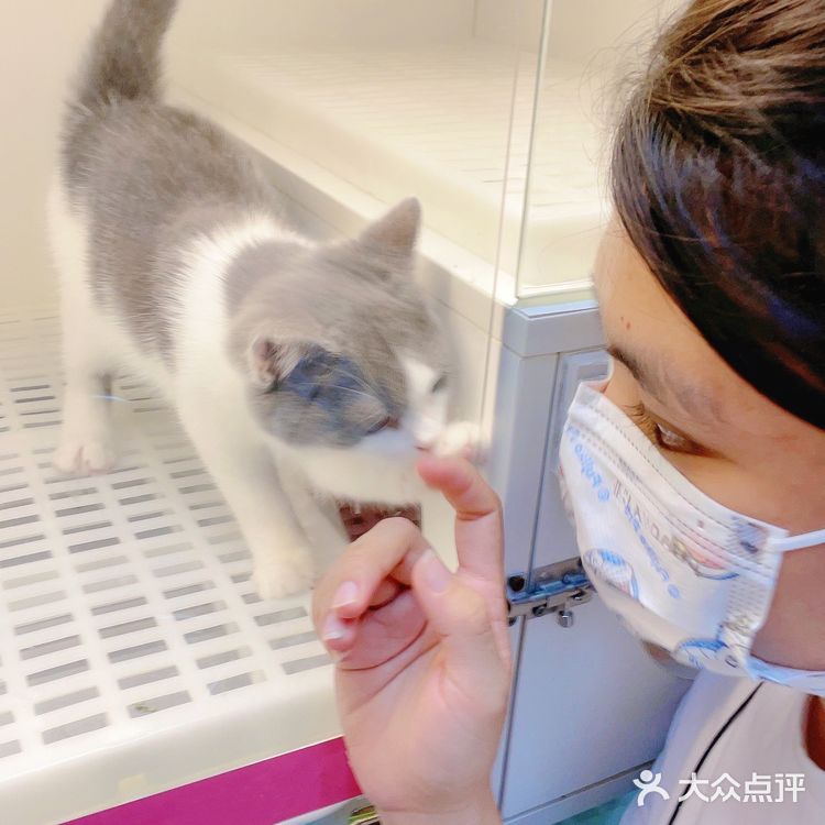 广州探店｜哇！银点简直就是我的梦中情猫啊！