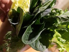 青菜合盘-十六蒲(桂林路店)