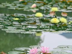 -国家植物园南园
