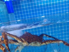 -前王院•巧克力海鲜市集餐厅(万平口店)