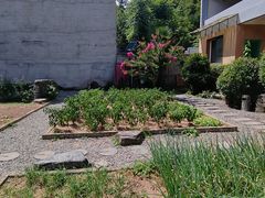 -柞水乾佑红门家菜