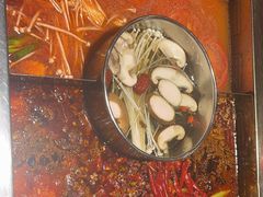 -蜀江龙火锅(339店)