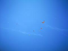 -春花秋色城市公园