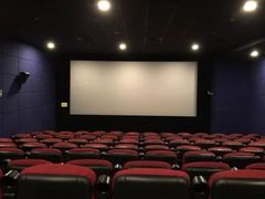 -大地影院(上海南汇店)