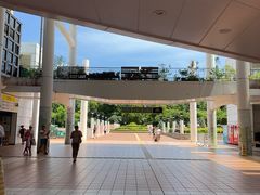 -九龙公园