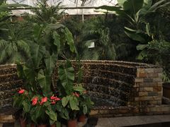 -陆地游轮吉林神农温泉