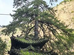 -藏山旅游风景区
