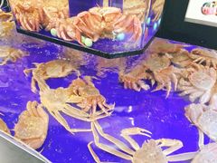 大堂-蟹道乐(道顿堀本店)