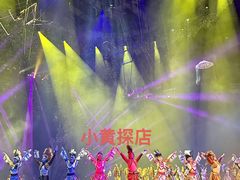 -灵玲国际马戏城