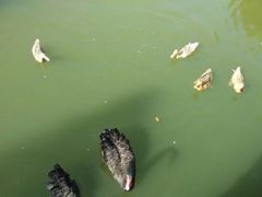 android_upload_pic-芭东小镇温泉