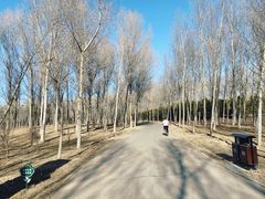 -东郊湿地公园